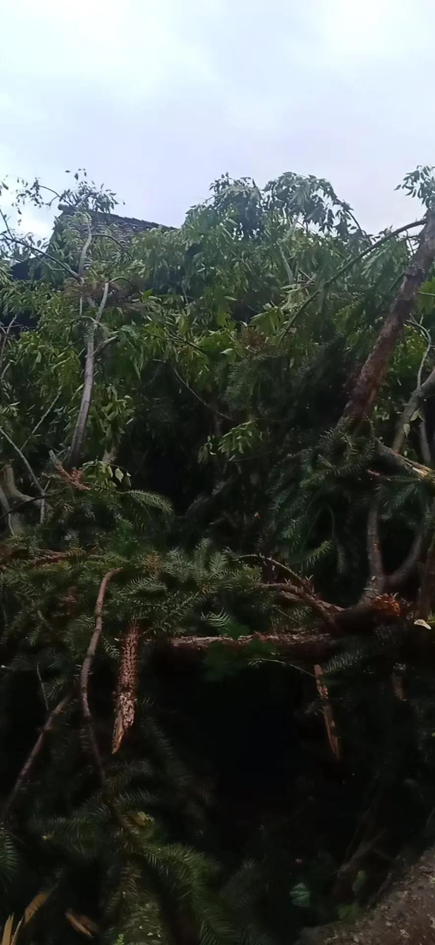 云南暴雨应对指南，最新消息与关注步骤（初学者与进阶用户通用）