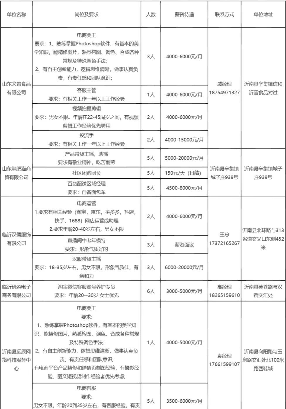 沂南最新招聘，友情与工作交织的奇遇与牵绊
